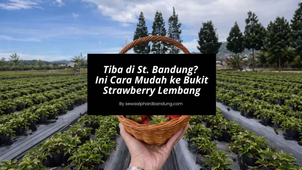 Cara Mudah Stasiun Bandung ke Bukit Strawberry Lembang