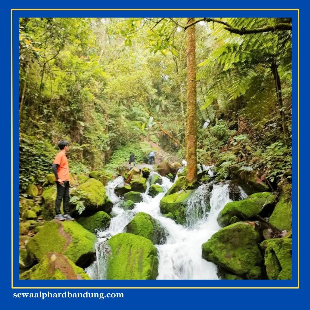 Rekomendasi Aktivitas di Bandung Curug