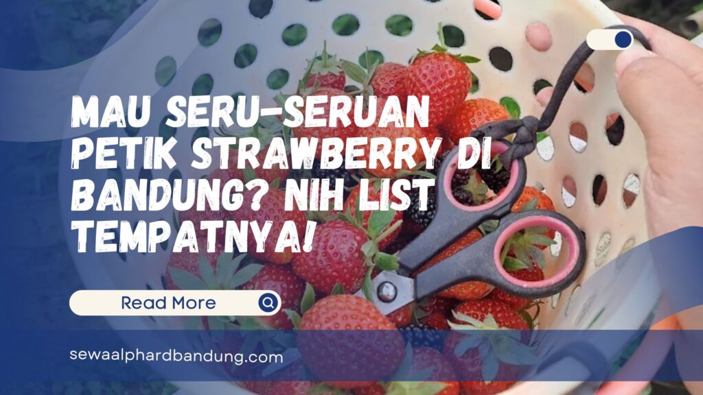 Wisata Petik Strawberry di Bandung