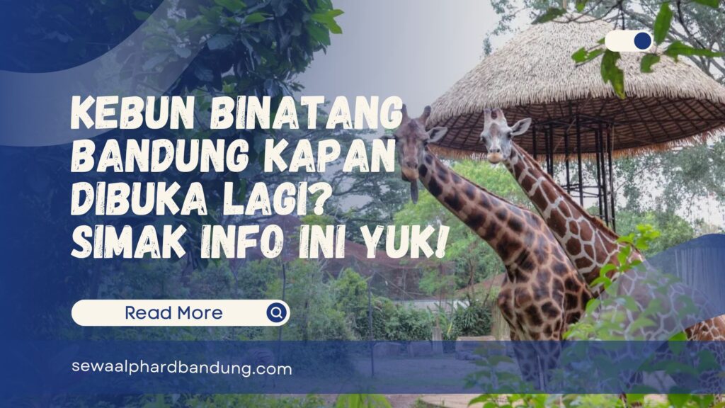 Kebun Binatang Bandung Kapan Dibuka Lagi Simak Info Ini Yuk!