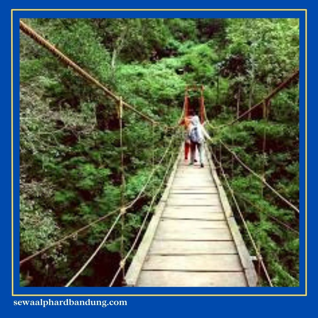 Wisata Bandung Dago Tahura