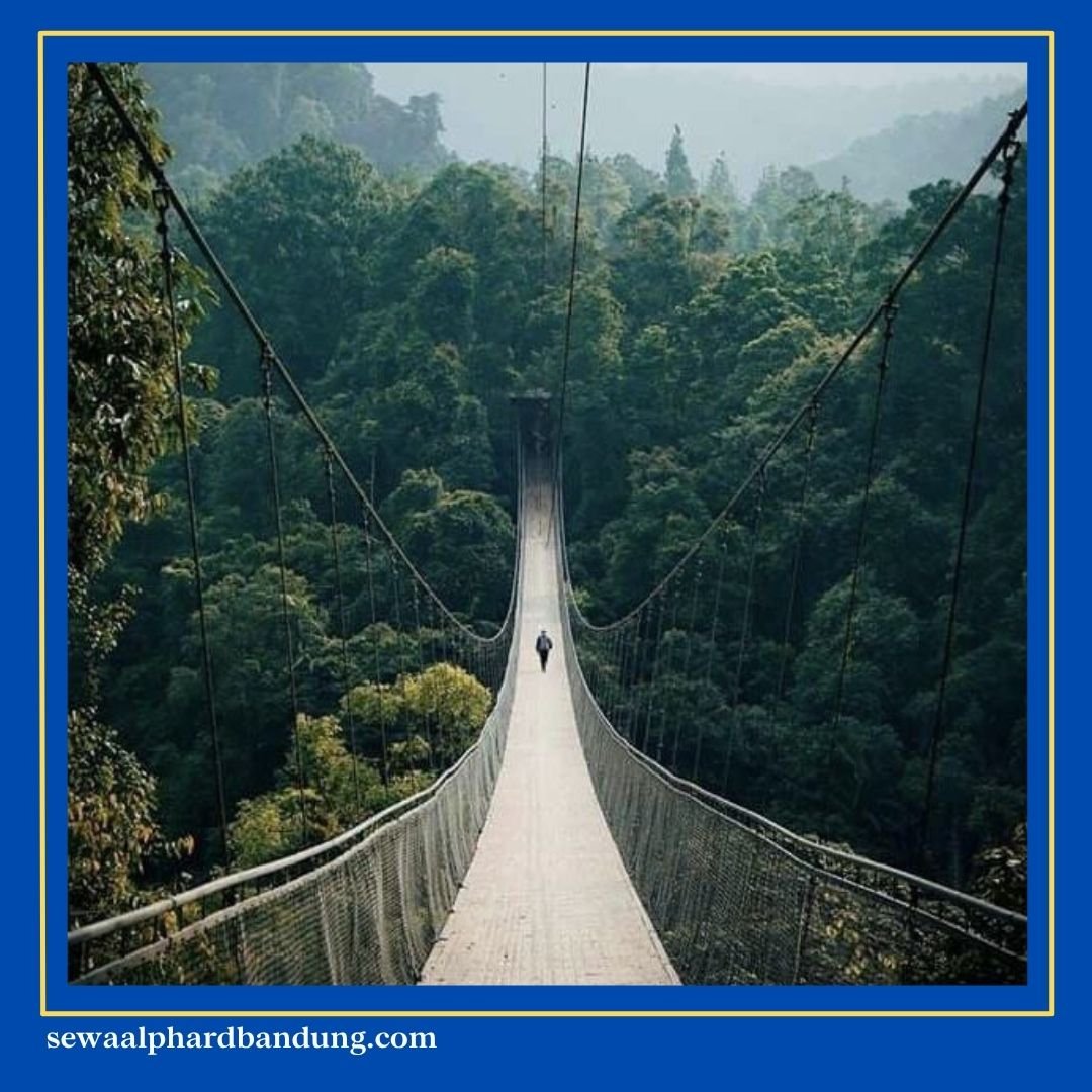 Tempat Wisata di Ciwidey Bandung